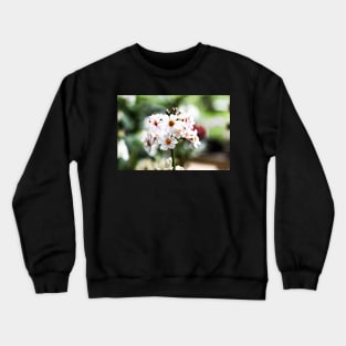 Milkweeds at Savill Garden staring at you Crewneck Sweatshirt